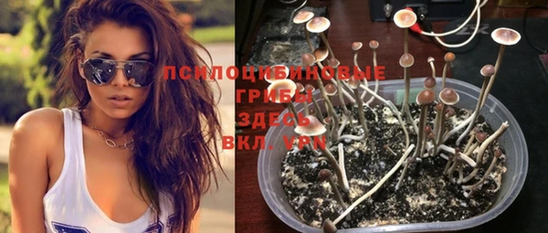 соль курить ск Алексеевка
